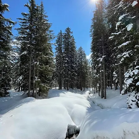 Pinzolo-dolomiti 3*